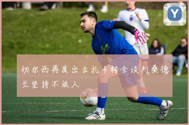 切尔西再度出击扎卡转会谈判桑德兰坚持不放人
